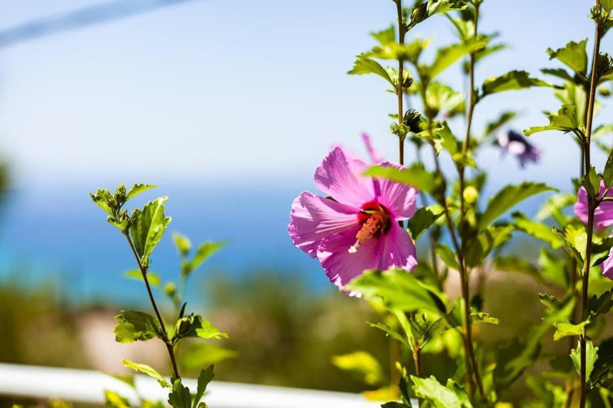 Aigli Fully Equipped Getaway - Seaview Lux Retreat Villa Kalamáta Eksteriør bilde